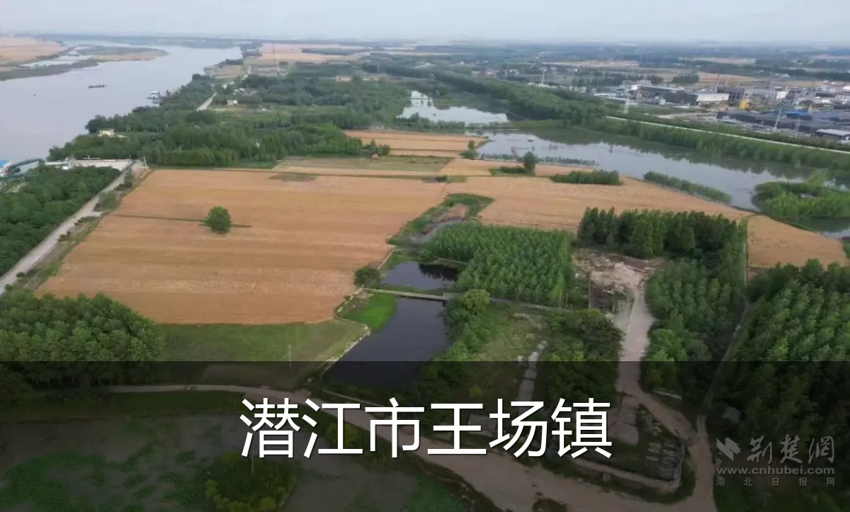 潜江市王场镇